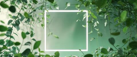 Illuminated square frame surrounded by lush green foliage. photo