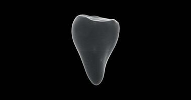 Hologram representation screen 3d of tooth - loop video