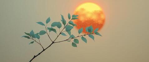 A tree branch with leaves in front of the sun photo