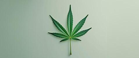 Cannabis leaf on light green background top view with copy space. photo