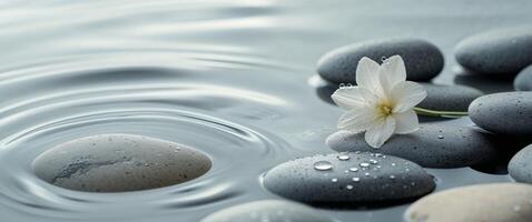 Calm water with smooth stones and a white flower surrounded by droplets in a tranquil setting. photo