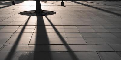 Long tree shadow stretching across sidewalk in late afternoon sunlight photo