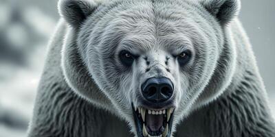 A close up of a polar bear with its mouth open photo