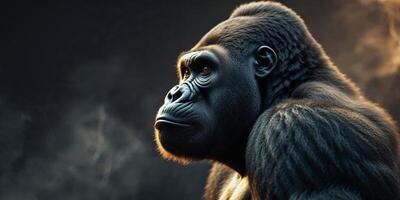 A gorilla is standing in front of a dark background photo