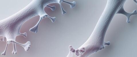 Microscopic View of Bone Structure and Osteoporosis Prevention in Medical Research and Healthcare Innovation photo