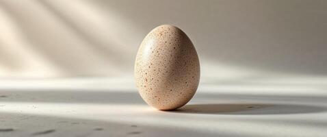 Speckled Egg on Smooth Surface with Soft Shadows and Natural Light. photo