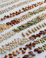 Assorted seeds and nuts arranged in colorful rows. photo
