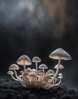 Lions Mane Mushroom Tendrils in a Dark Void Macro Mushroom Background photo