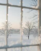 A window view of a snowy landscape with trees in the background photo