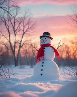 A snowman is standing in the middle of a field photo