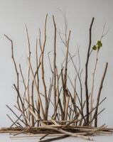 A group of sticks and branches are arranged in a circle photo