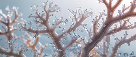 A tight shot of corals adorned with ice crystals suspended from their branches. photo