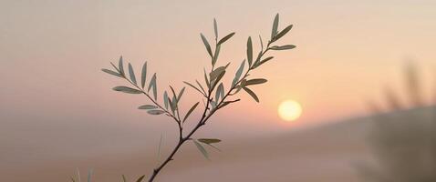 Olive branch under soft sunset light in serene landscape with warm hues and gentle colors photo