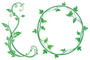 Green Vines and Leaf Border on White Backdrop, Lush Foliage Design Element vector