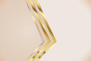 Luxury golden abstract light color background vector