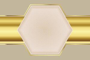 Luxuru golden hexagon background vector