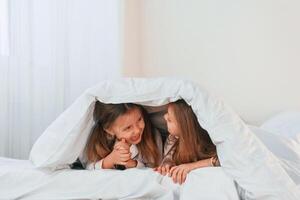 Girls are ,on the bed. Two, little kids are playing and having fun together in domestic room photo