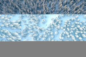 Top aerial, view of trees covered in snow in, the Carpathian mountains. Majestic background photo