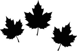 Three Black Maple Leaf Silhouettes Against a White Background for Fall or Canada Theme vector
