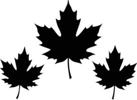 Three Maple Leaves Silhouette on White Background, Simple Leaf Design vector