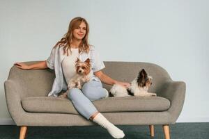 Front, view. Woman is sitting on a sofa with two cute dogs photo