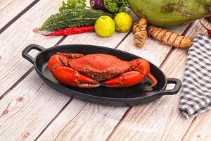 A crab in a black dish on a table photo