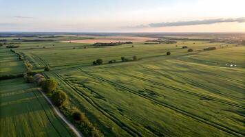 Aerial view of lush green fields stretching into the horizon, with a winding dirt road and scattered trees under a serene sky at sunset. photo