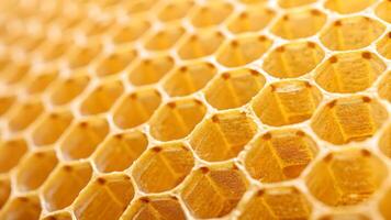 Golden honeycomb pattern, intricate hexagonal wax structure, natural bee hive close up, detailed and symmetrical design. photo