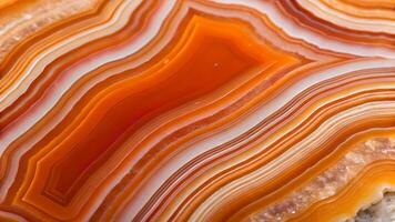 Vibrant orange and white agate crystal with intricate, flowing band patterns showcasing the natural beauty and complexity of the minerals structure. photo
