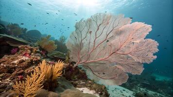 Vibrant Coral Reef Underwater Scene for Nature Lovers and Oceanographers Discovering the Beauty of Marine Life in a Diverse Ecosystem with Sunlight Filtering Through ocean photo