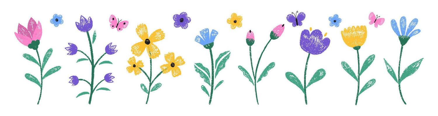 Set of color butterfly and lawn flowers with crayon, pastel or chalk texture. Wildflowers painted with pencil. Doodle illustration for child or school.