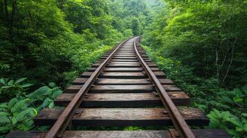 surreal abandoned railway surrounded by lush green trees and foliage photo