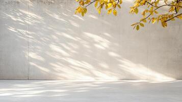 delicate outline of autumn leaves casts shadows on concrete wall photo
