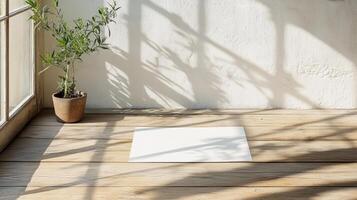 serene indoor space with plant and natural light casting shadows photo