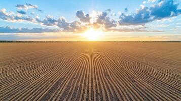 Aerial view of empty farmland at dawn with sunlight and clouds photo