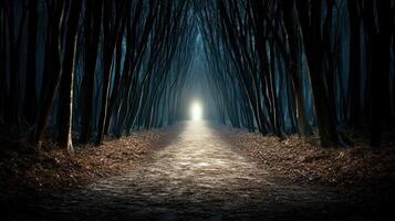 mysterious forest path leads to glowing light, evoking intrigue photo