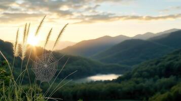 breathtaking mountain sunrise with spiderweb catching light photo
