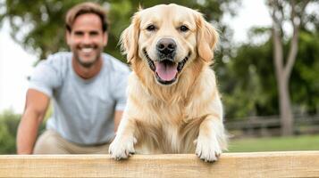 dog and its owner enjoying agility training together in park photo