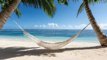 serene beach with hammock tied between two palm trees, inviting relaxation photo