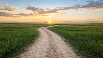 winding dirt path through serene green field at sunset photo