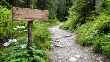 peaceful forest trail with aged hiking sign surrounded by greenery photo
