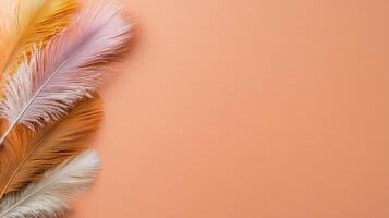 Colorful feathers arranged on bright orange background create vibrant display photo