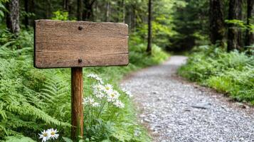 peaceful forest trail with aged wooden sign and wildflowers photo
