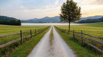 peaceful countryside road at dawn with soft mist hovering over fields photo