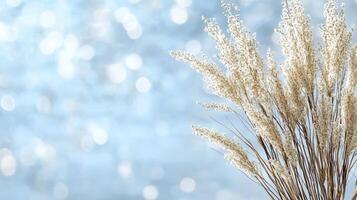 Soft focus floral elements create abstract bokeh effect in this image photo