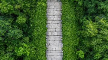 Aerial view of stone pathway through lush green foliage, inviting exploration photo
