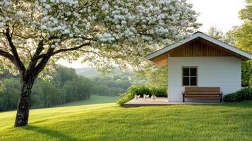 serene sunlit scene featuring small chicken coop beside blooming tree photo
