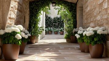 serene alley adorned with lush plants and blooming flowers in pots photo