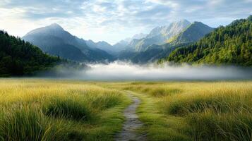 serene mountain meadow with fog, lush grass, and distant peaks photo