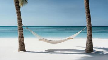 peaceful hammock tied between two palm trees on serene beach photo